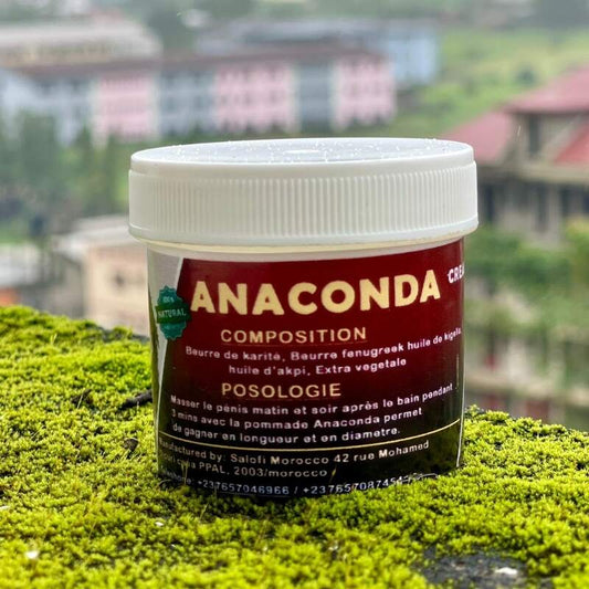 🔥ANACONDA🔥